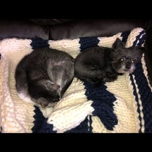 Meet your Posher, Sandy